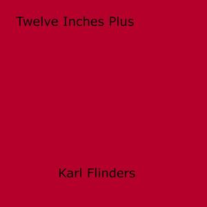 Cover of the book Twelve Inches Plus by Paul Stone
