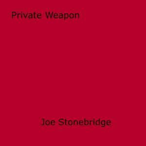 Cover of the book Private Weapon by Sandra Boise