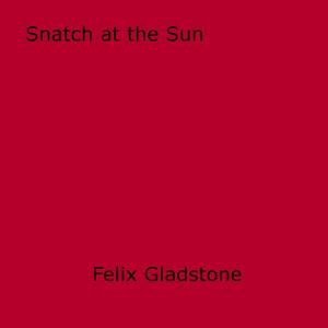 Cover of the book Snatch at the Sun by Anna Elisabet Weirauch