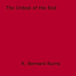 Cover of the book The Ordeal of the Rod by Justine Paris