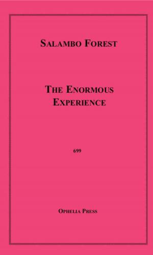 Book cover of The Enormous Experience