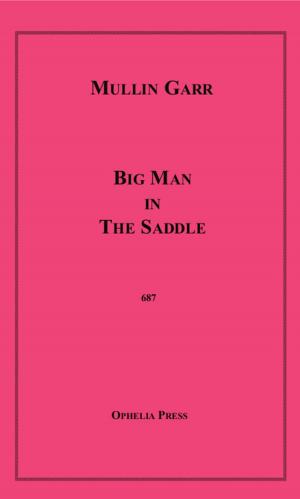 Cover of the book Big Man in the Saddle by Maggie May