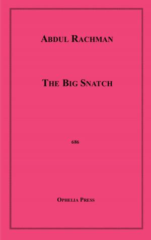 Cover of the book The Big Snatch by Cheryl Wood