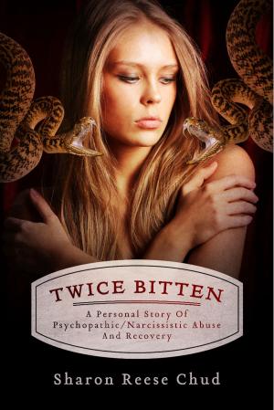 Cover of the book Twice Bitten by D.B. Sybert
