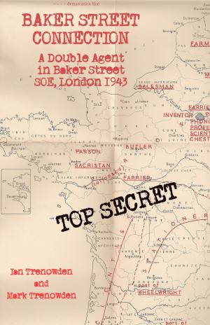 Book cover of Baker Street Connection