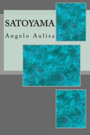 Book cover of Satoyama