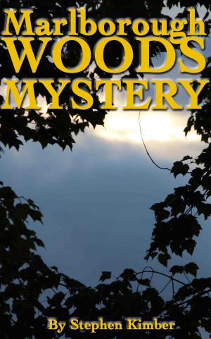 Cover of the book Marlborough Woods Mystery by Melissa Krivachek