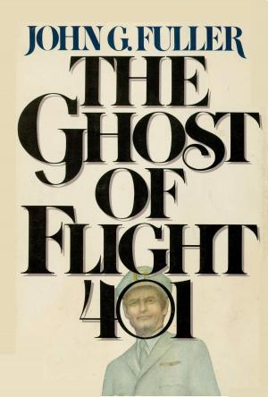 Cover of the book The Ghost of Flight 401 by Antoine Bonner