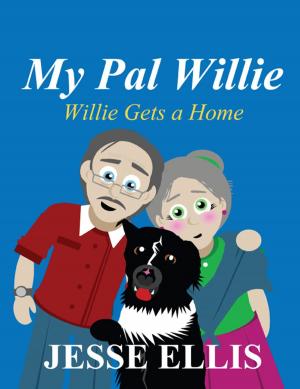 Cover of the book My Pal Willie by Millicent Moehlman