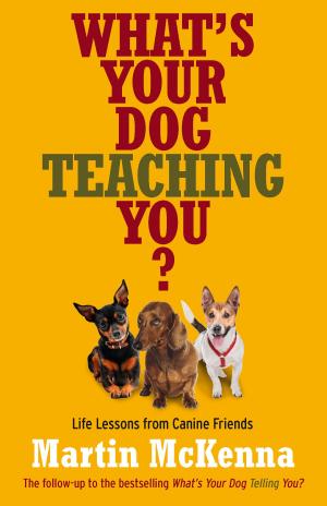 Cover of the book What's Your Dog Teaching You? by Glenda Millard