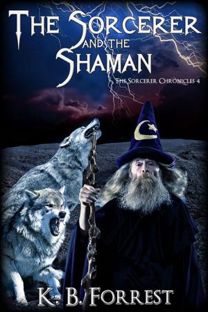 Cover of the book The Sorcerer and the Shaman by Kat Barrett
