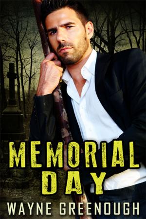 Cover of the book Memorial Day by Celine Chatillon