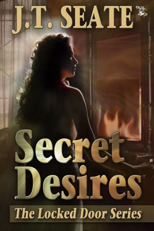 Cover of the book Secret Desires by Jerry Race