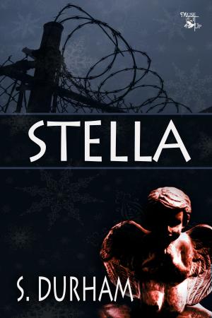 Cover of the book Stella by SJ Smith