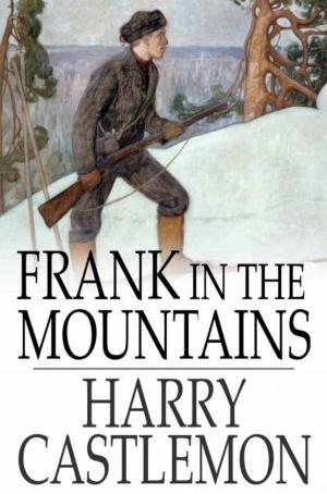 Cover of the book Frank in the Mountains by Vernon Lee