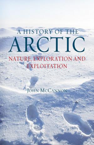 Cover of the book A History of the Arctic by Damian Flanagan
