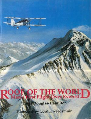 Cover of the book Roof of the World by Jan de Vries
