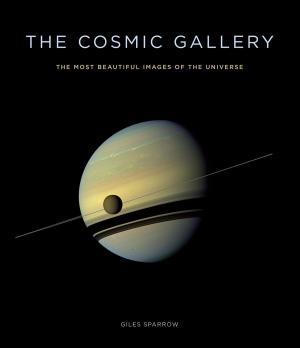 Cover of the book The Cosmic Gallery by Derek Robinson, Simon Robinson