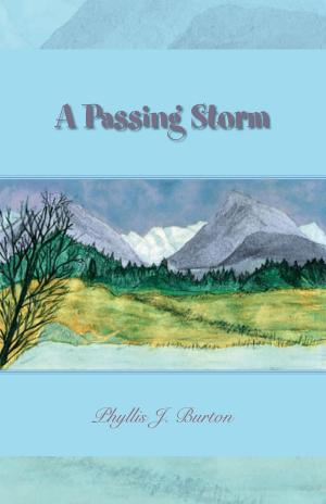 Cover of the book A Passing Storm by Ravinder Randhawa