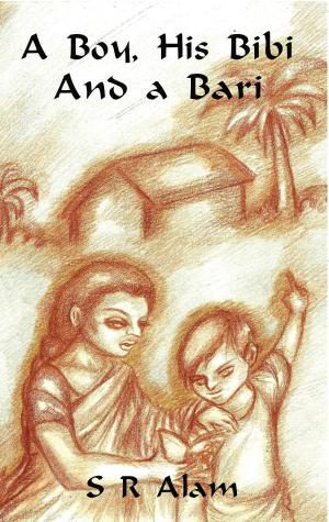 Cover of the book A Boy, His Bibi and a Bari by Colin Farrington