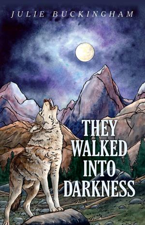 Cover of the book They Walked Into Darkness by Siusaidh Ceanadach
