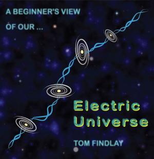 Cover of the book A Beginner's View of Our Electric Universe by Chris Page