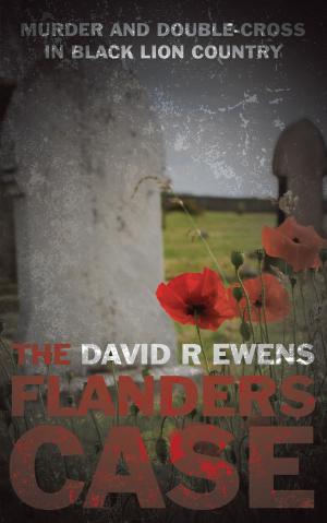 Cover of the book The Flanders Case by Frank Rafters