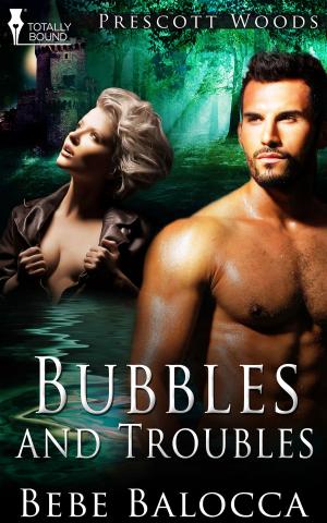 Cover of the book Bubbles and Troubles by A.J. Llewellyn, D.J. Manly