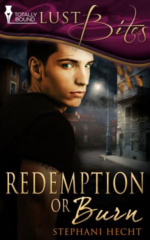 Cover of the book Redemption or Burn by Crissy Smith