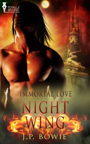 Cover of the book Night Wing by Lisabet Sarai