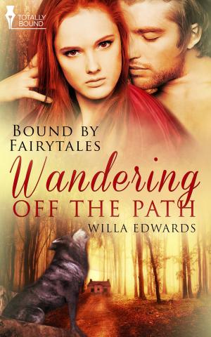 Cover of the book Wandering Off the Path by Liz Crowe