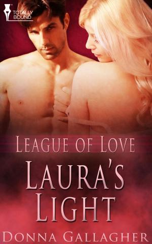 Cover of the book Laura's Light by Xondra Day