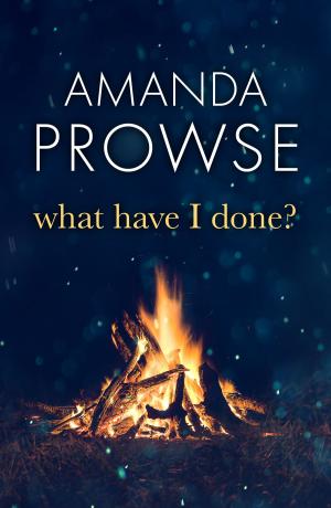 Cover of the book What Have I Done? by Amanda Prowse