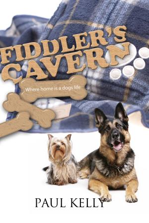 Cover of the book Fiddler's Cavern by Dwain Chambers