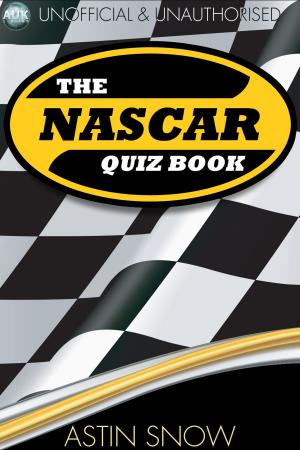 Cover of the book The NASCAR Quiz Book by Jack Goldstein