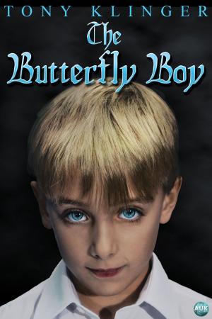 Cover of the book The Butterfly Boy by Doris Miller
