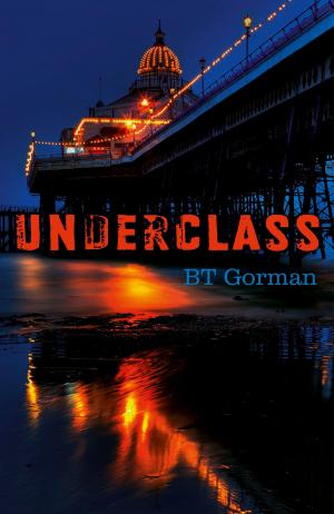 Cover of the book Underclass by Andrez Bergen