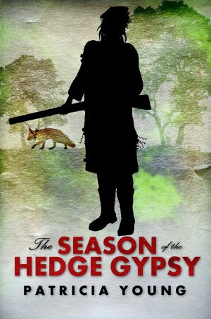 Cover of the book The Season of the Hedge Gypsy by Patricia Damery