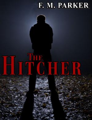 bigCover of the book The Hitcher by 