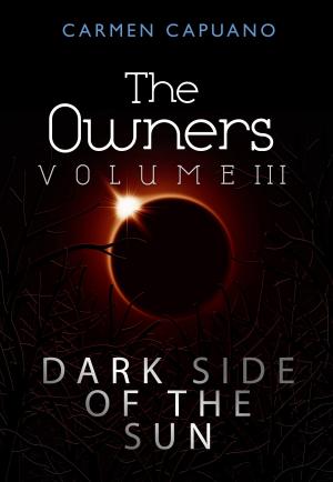 bigCover of the book The Owners, Volume III: Dark Side Of The Sun by 