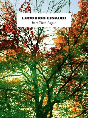 Book cover of Einaudi: In A Time Lapse