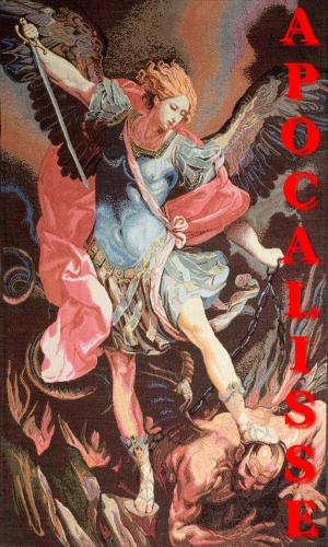 Cover of the book Apocalisse by Giovanni Crisostomo