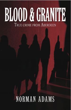 Cover of the book Blood and Granite by Chris Robinson