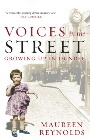 Cover of the book Voices in the Street by John Eunson
