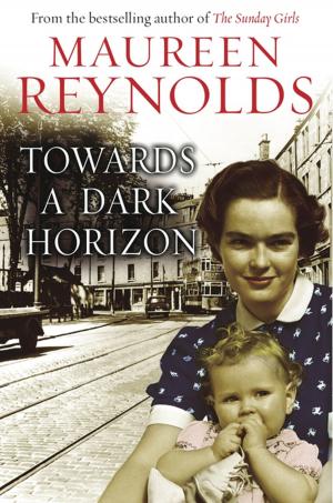 Book cover of Towards a Dark Horizon