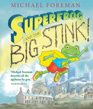 Cover of the book Superfrog and the Big Stink by David McKee