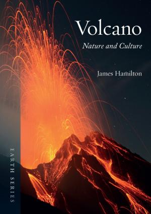 Cover of the book Volcano by Mienke Simon Thomas