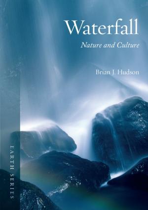 Cover of the book Waterfall by Raymond D. Boisvert, Lisa Heldke