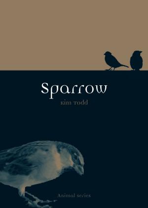 Book cover of Sparrow