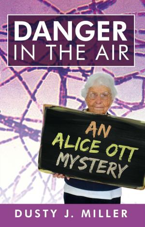 Book cover of Danger in the Air